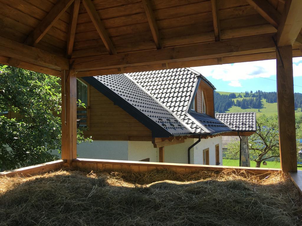 Cottage Familiya Verkhovyna Ngoại thất bức ảnh